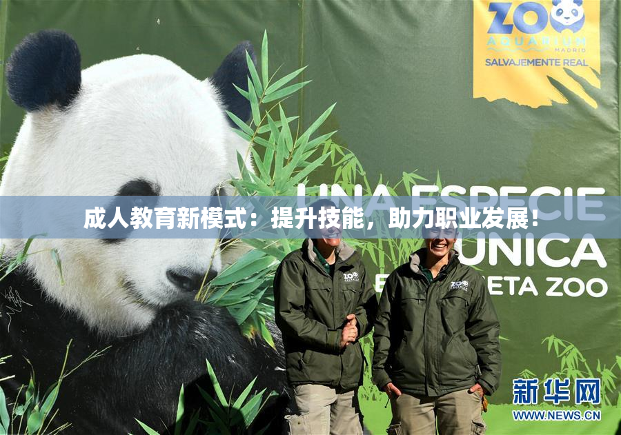 成人教育新模式：提升技能，助力职业发展！