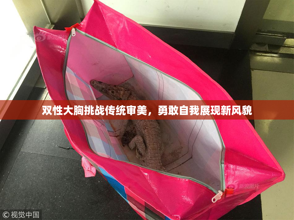 双性大胸挑战传统审美，勇敢自我展现新风貌