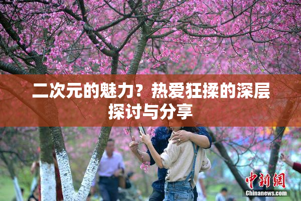 二次元的魅力？热爱狂揉的深层探讨与分享