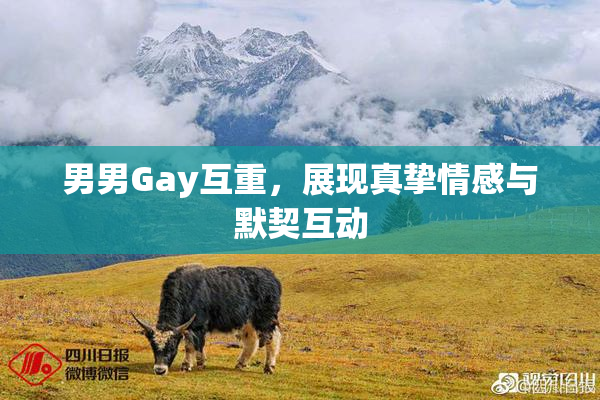 男男Gay互重，展现真挚情感与默契互动
