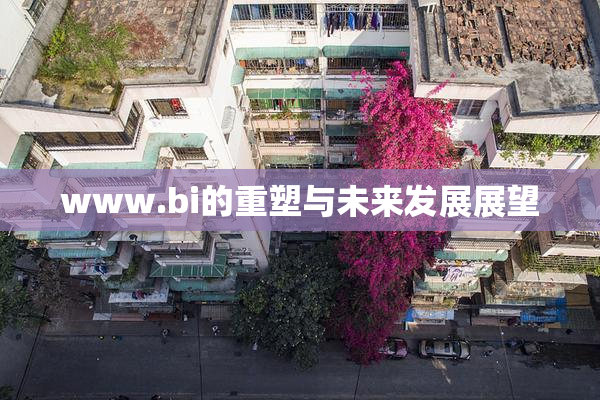 www.bi的重塑与未来发展展望