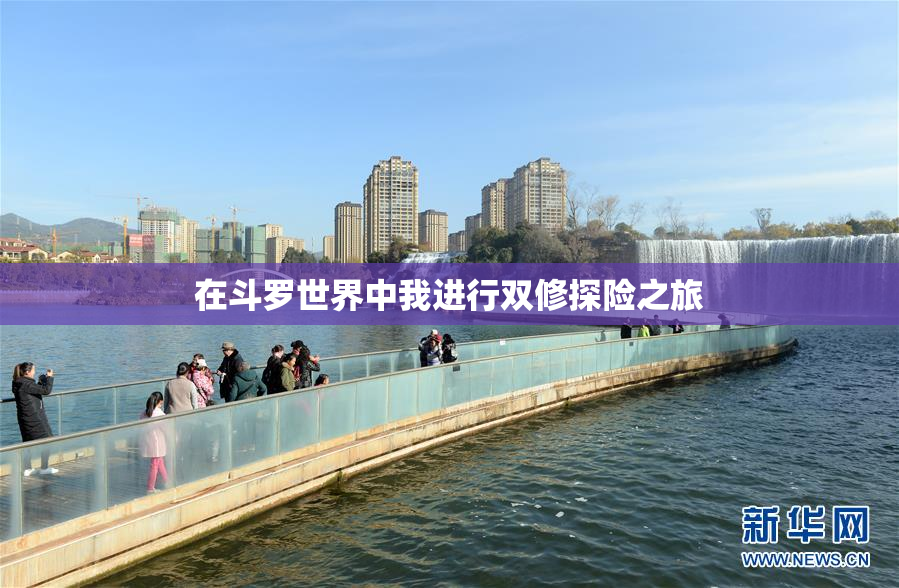在斗罗世界中我进行双修探险之旅