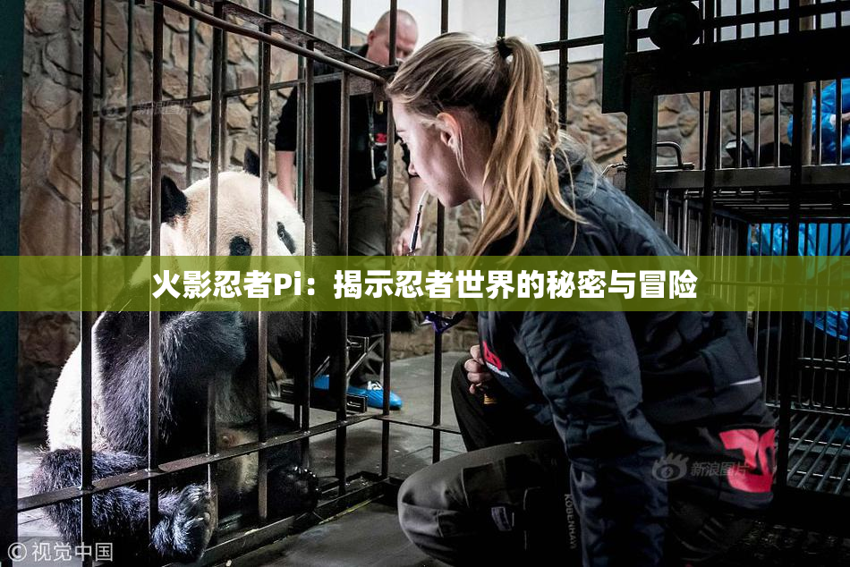 火影忍者Pi：揭示忍者世界的秘密与冒险