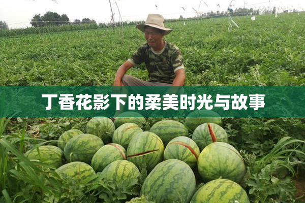丁香花影下的柔美时光与故事