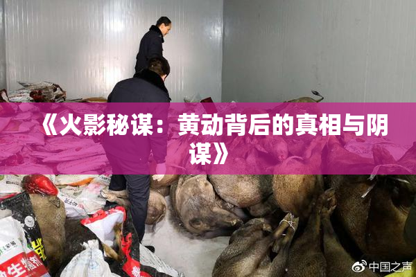 《火影秘谋：黄动背后的真相与阴谋》