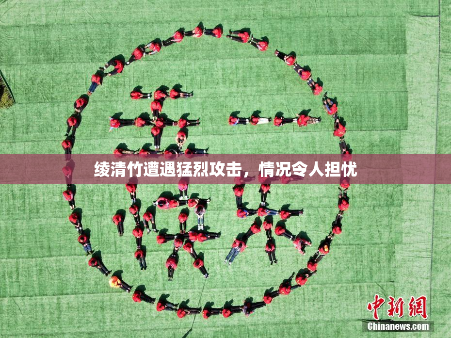 绫清竹遭遇猛烈攻击，情况令人担忧