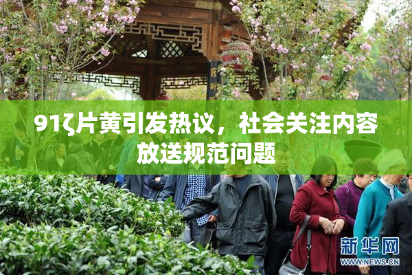 91ζ片黄引发热议，社会关注内容放送规范问题