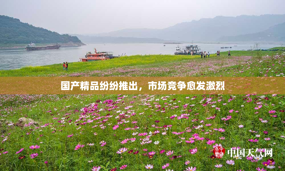 国产精品纷纷推出，市场竞争愈发激烈