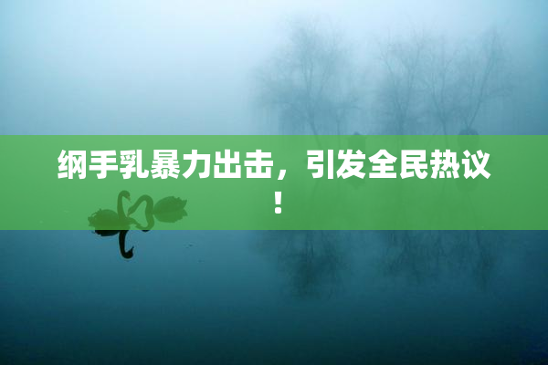 纲手乳暴力出击，引发全民热议！