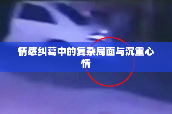 情感纠葛中的复杂局面与沉重心情