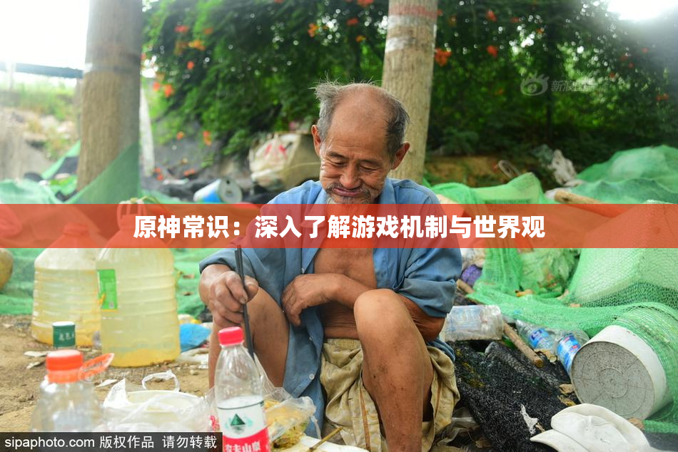 原神常识：深入了解游戏机制与世界观
