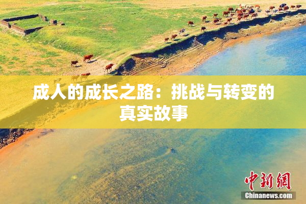 成人的成长之路：挑战与转变的真实故事