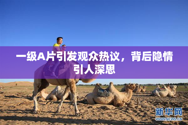 一级A片引发观众热议，背后隐情引人深思