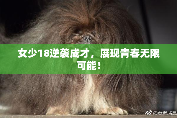 女少18逆袭成才，展现青春无限可能！