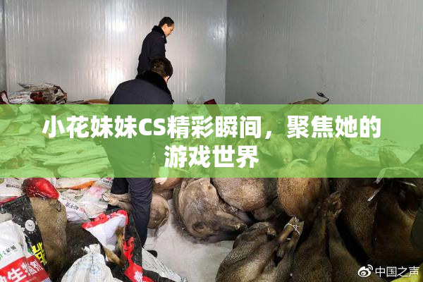 小花妹妹CS精彩瞬间，聚焦她的游戏世界