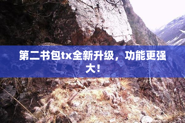 第二书包tx全新升级，功能更强大！