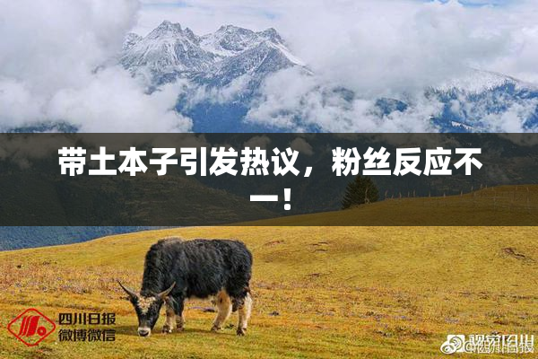 带土本子引发热议，粉丝反应不一！