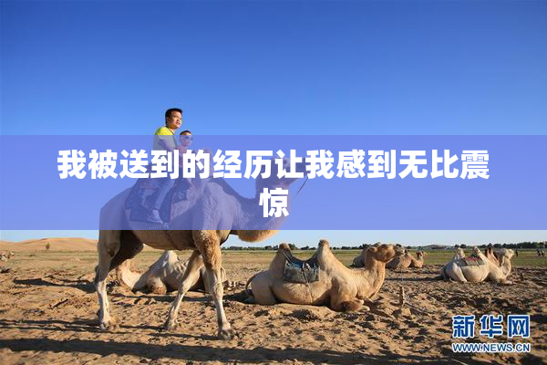 我被送到的经历让我感到无比震惊