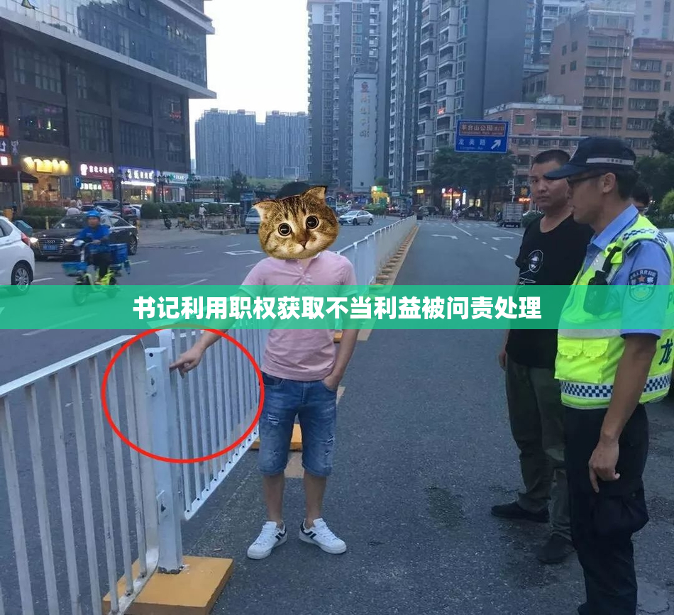 书记利用职权获取不当利益被问责处理