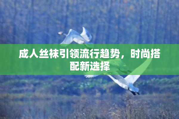 成人丝袜引领流行趋势，时尚搭配新选择