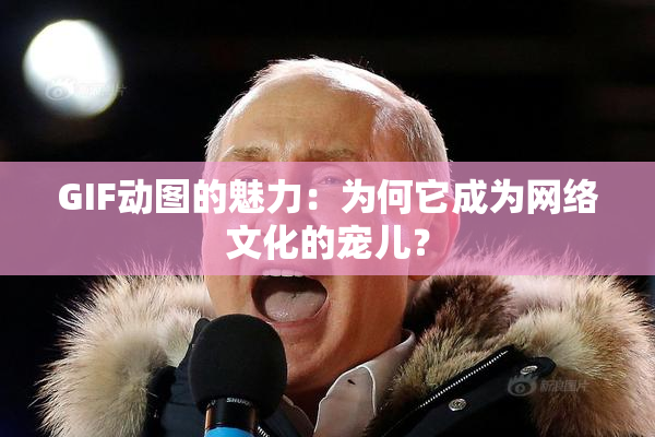 GIF动图的魅力：为何它成为网络文化的宠儿？