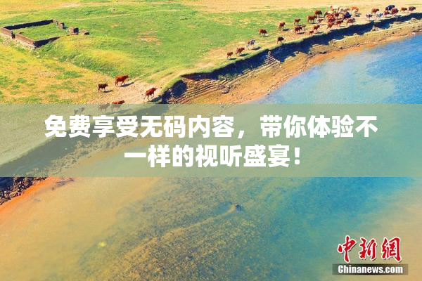 免费享受无码内容，带你体验不一样的视听盛宴！