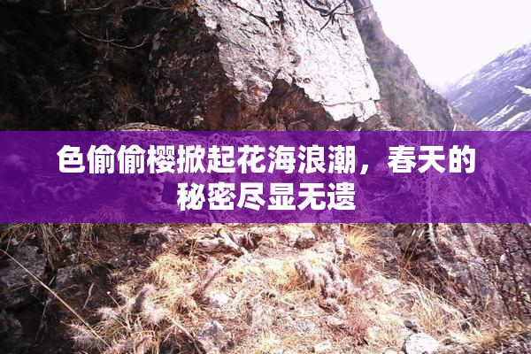 色偷偷樱掀起花海浪潮，春天的秘密尽显无遗