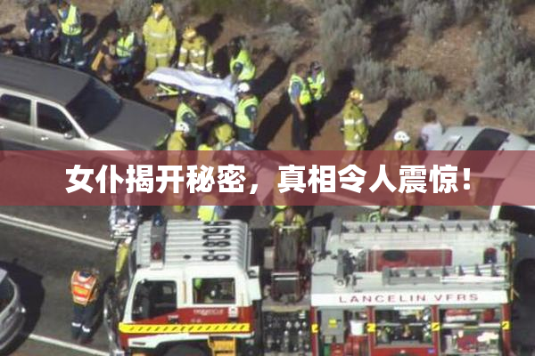 女仆揭开秘密，真相令人震惊！