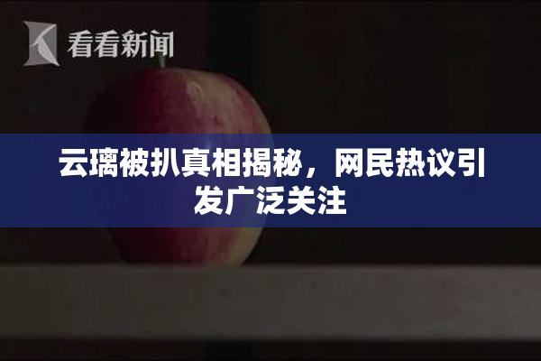 云璃被扒真相揭秘，网民热议引发广泛关注