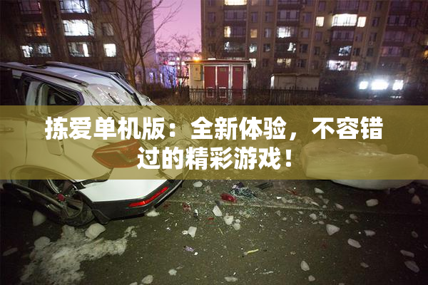 拣爱单机版：全新体验，不容错过的精彩游戏！