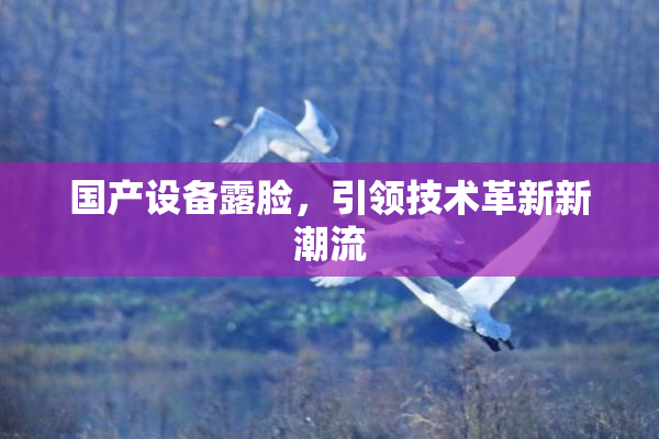 国产设备露脸，引领技术革新新潮流