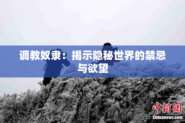 调教奴隶：揭示隐秘世界的禁忌与欲望
