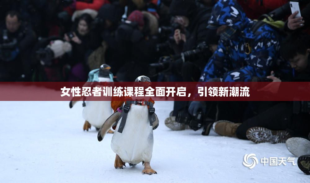 女性忍者训练课程全面开启，引领新潮流