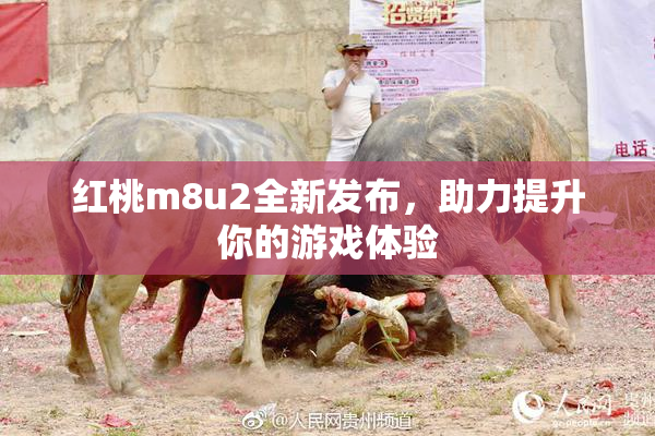 红桃m8u2全新发布，助力提升你的游戏体验