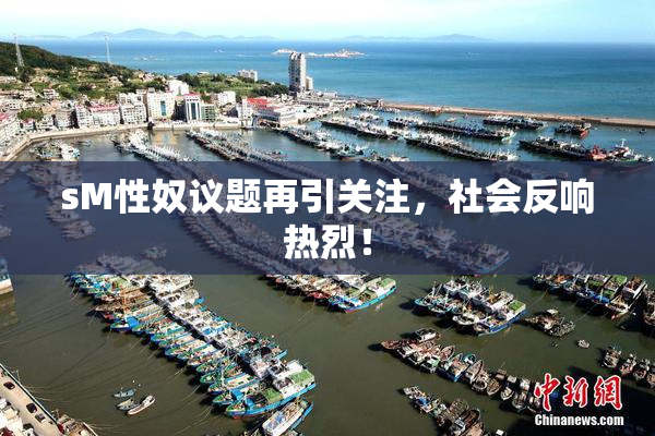 sM性奴议题再引关注，社会反响热烈！