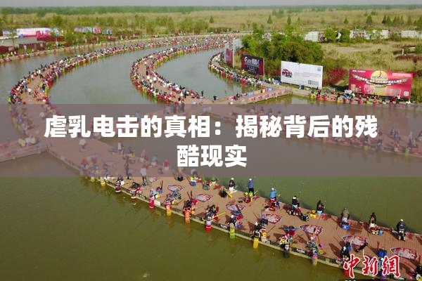 虐乳电击的真相：揭秘背后的残酷现实