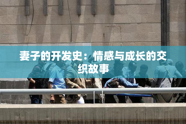 妻子的开发史：情感与成长的交织故事