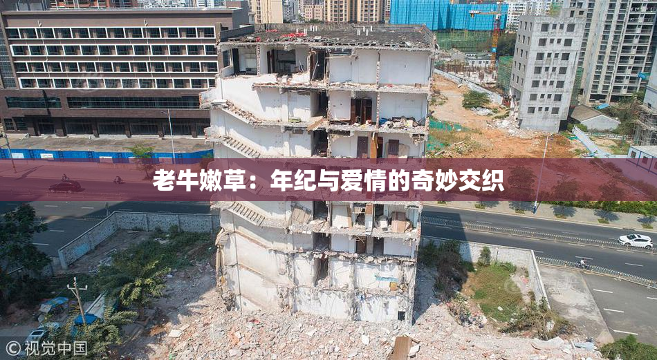 老牛嫩草：年纪与爱情的奇妙交织