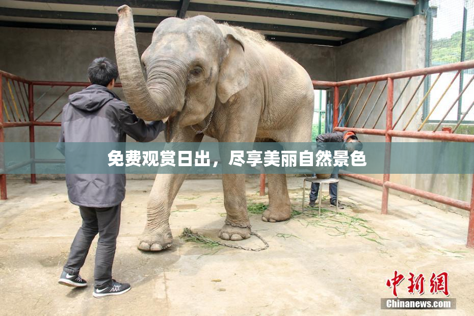 免费观赏日出，尽享美丽自然景色