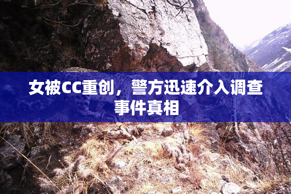 女被CC重创，警方迅速介入调查事件真相