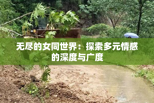无尽的女同世界：探索多元情感的深度与广度