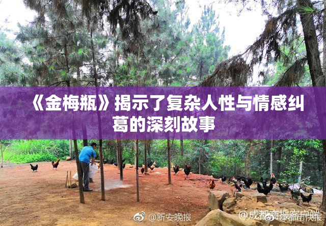 《金梅瓶》揭示了复杂人性与情感纠葛的深刻故事