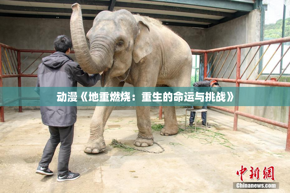 动漫《地重燃烧：重生的命运与挑战》