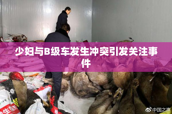 少妇与B级车发生冲突引发关注事件