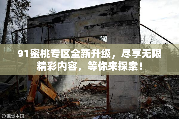 91蜜桃专区全新升级，尽享无限精彩内容，等你来探索！