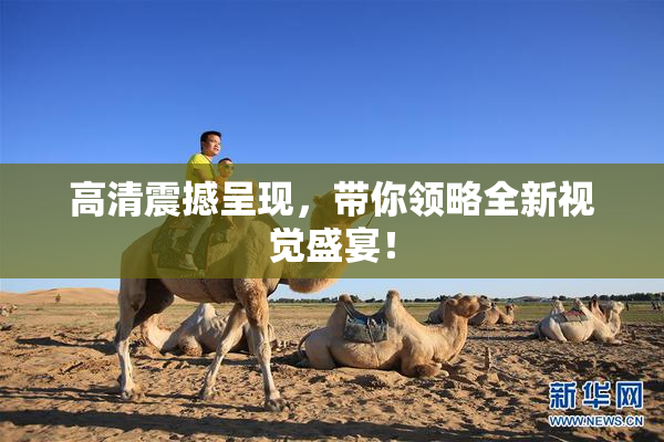 高清震撼呈现，带你领略全新视觉盛宴！