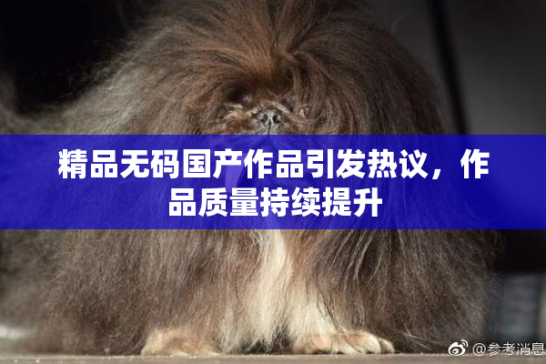 精品无码国产作品引发热议，作品质量持续提升