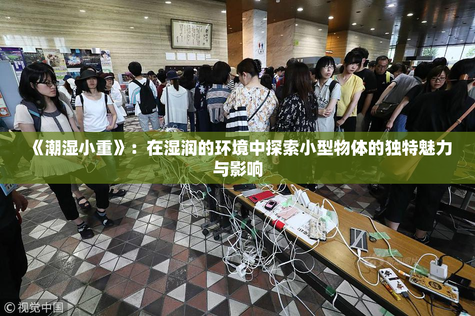 《潮湿小重》：在湿润的环境中探索小型物体的独特魅力与影响