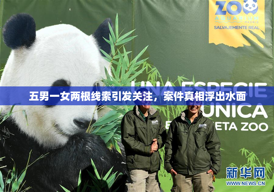 五男一女两根线索引发关注，案件真相浮出水面