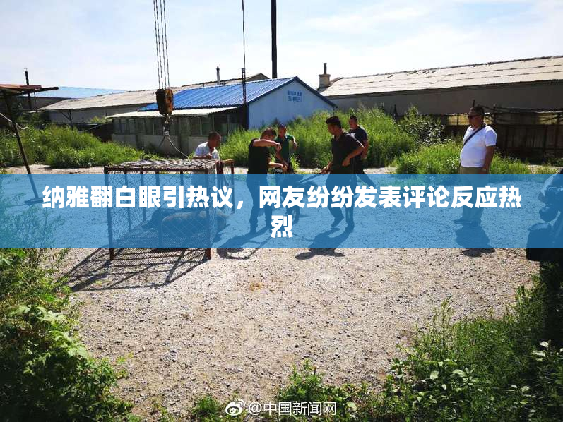 纳雅翻白眼引热议，网友纷纷发表评论反应热烈